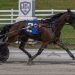 Oak Grove Racing feature won in a romp