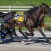 Last to first blitz wins Oak Grove Open Trot