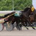 Wrenn bags five winners including Open Trot