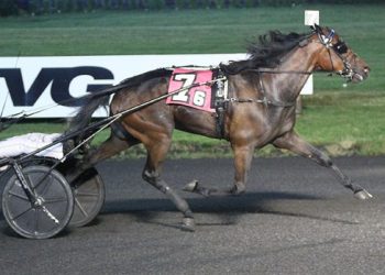 MacDonald takes two Graduate divisions