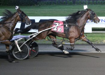 River Ness best in Big M feature