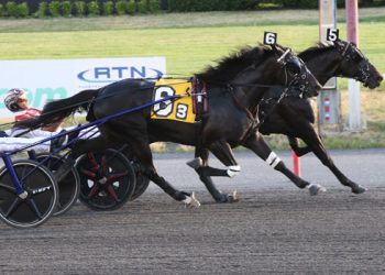Blue-blooded two-year-olds take Kindergarten debuts
