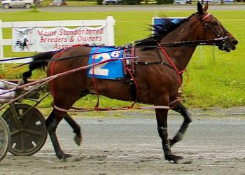 Western Stepp notches 60th career win