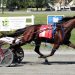 Freshmen colt pacers spar at Bangor