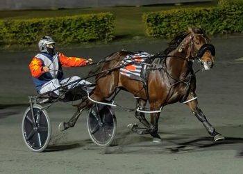 Record breaking win for Aroda