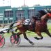 Marie-Claude Auger has favorites in H3R Stakes