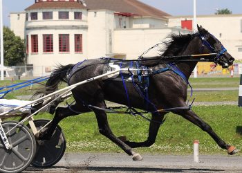 Unbeaten filly wins opening round Future Stars Series