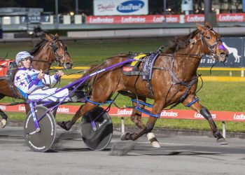 Weekly spotlight on breeding