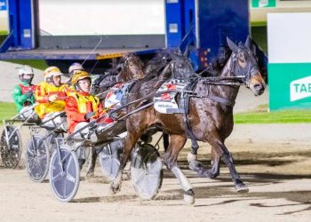 Award winners for Aldebaran Park