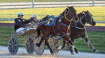 Blair Orange gets his 100th winner in 2024