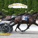 Buter sweeps NYSS at Tioga