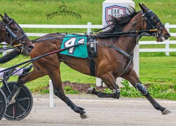 Zeron has ‘Bestfriend’ for Hambletonian Maturity