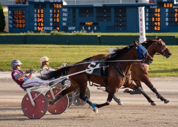 A look back at the 2024 Buffalo Raceway season