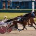 Trotter breaks own track mark at Buffalo