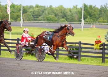 Rookie pacing colts battle in $190,000 OSS Gold