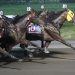 32-1 longshot upsets in $425,000 Hambletonian Maturity