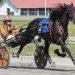 Maine’s freshmen trotters impress at Cumberland