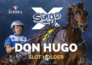 Singo takes a chance on Don Hugo