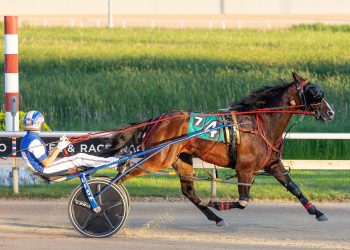 Minnesota-sired action at Running Aces