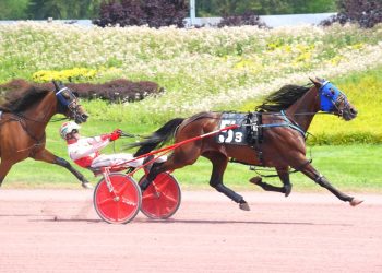 Trotters strut their stuff in Pocono co-features