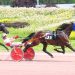 Trotters strut their stuff in Pocono co-features