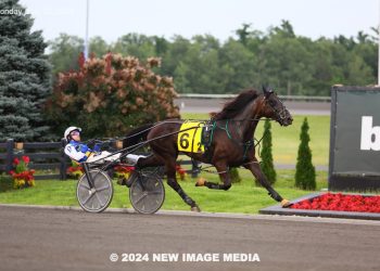 Fashion Frenzie best in Mohawk Preferred