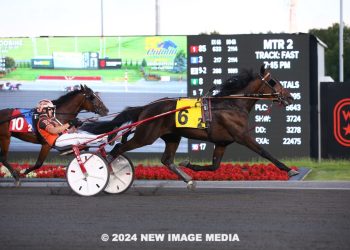 Rookie trotters strut their stuff in OSS Grassroots