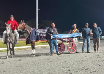 Successful stopover for US-bound filly