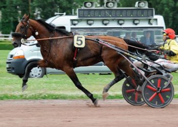 It’s A Dollarmaker grabs the cash in €120,000 Group II