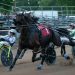 31-year-old track record broken at Mecosta County Free Fair 2 31-year-old track record broken at Mecosta County Free Fair