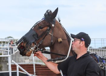 Lakelsa now kicking goals, not carts