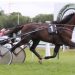 Hedic Gema handles Trophee Vert on the turf 2 Hedic Gema handles Trophee Vert on the turf