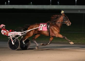 Andrew Adamcyzk sweeps Yonkers NAADA Trots