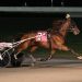 Andrew Adamcyzk sweeps Yonkers NAADA Trots