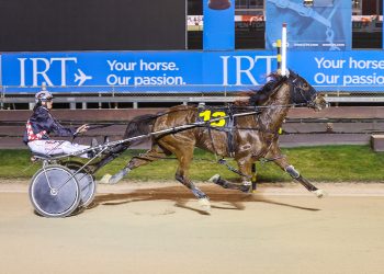 Harrison wins Darren De Filippi Memorial