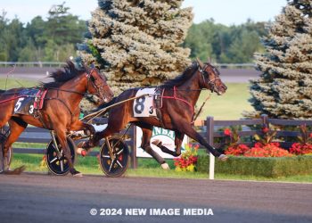 Two repeaters in OSS Golds