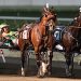 Tetrick has sights on equaling Meadowlands Pace record