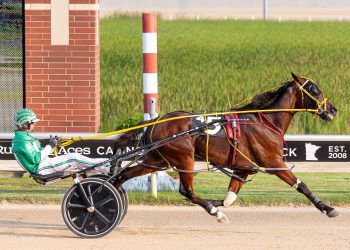 Fast Larry and Two Pistol Annie take Aces features