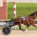 Fast Larry and Two Pistol Annie take Aces features