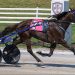 Marloe Hanover grinds out $60,000 victory