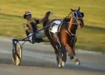 Three straight for Gator Hanover