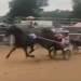 Aldrich wins Mecosta Fair celebrity race