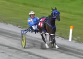 Thunder Alley back on top at Northside