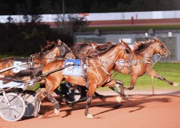 Features at Pocono won by noses