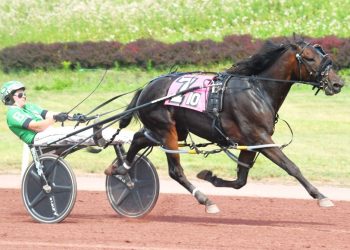 Braxten Boyd and Southwind Celsius perfect together