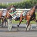 Swedish Starlet N leads every station in Mares Open