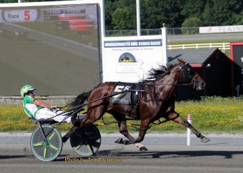 New mark for top Plainridge mare