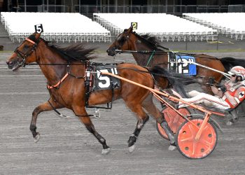 Valottalove trots away in Vernon feature