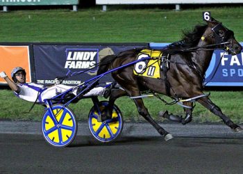 Legendary Hanover ready to go again in $300,000 Hempt