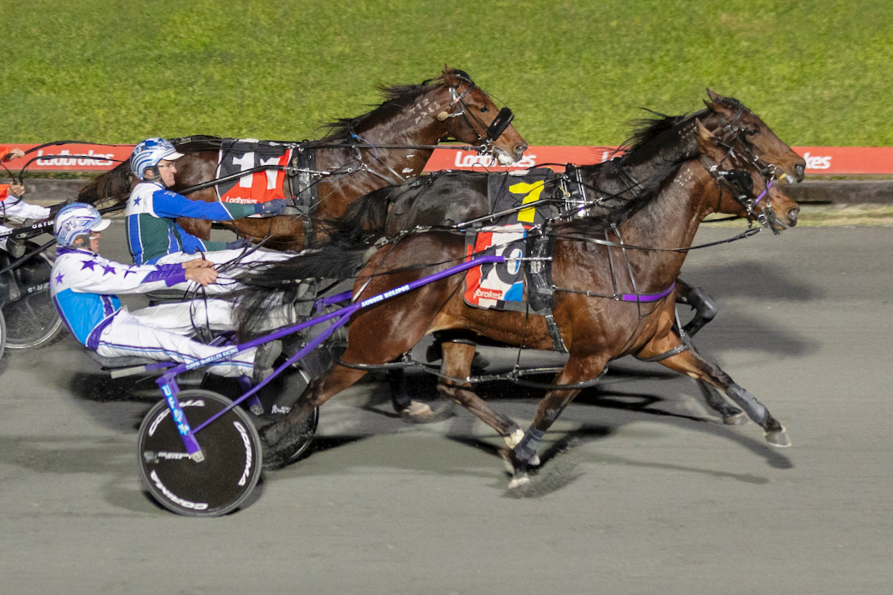 Weekly spotlight on breeding 4